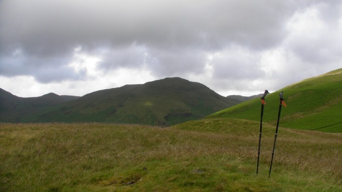 A pause on Scale Knott