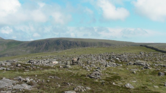 On Iron Crag looking towards Caw Fell