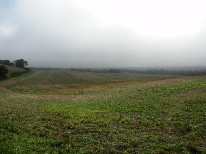 Misty start over the Medway valley