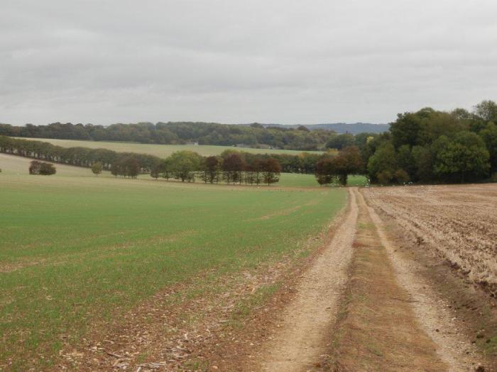 Heading out from Dunn Street