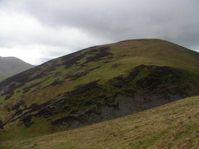 Great Cockup from Trusmadoor