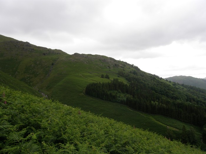 The route up to Alcock Tarn The route up to Alcock Tarn