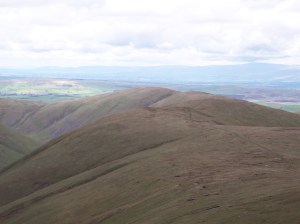 Hazelgill Knott from The Calf