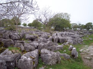 Limestone Pavement