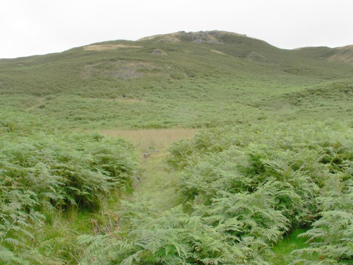 Nearing the summit of High Rigg