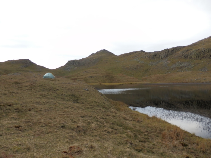 Tonight's pitch at Tarn at Leaves