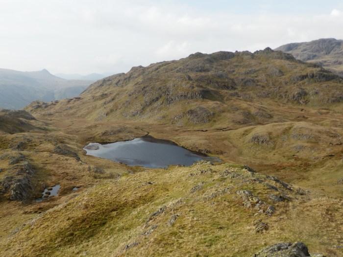 P5060531-BessybootTarnAtLeaves Tarn At Leaves from Bessyboot