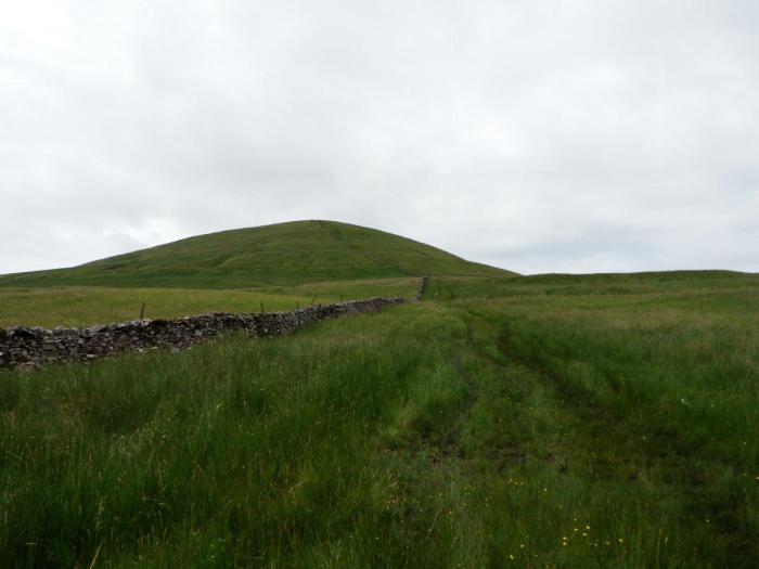 P7140927-ParkFell Ascending Park Fell