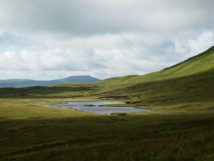 P7150998-GreensettMoss Greensett Moss