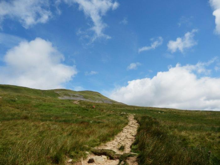 P7151008-Whernside Down from Whernside