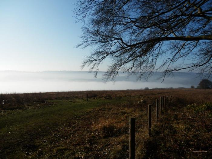 Emerging from the wood to yet more mist