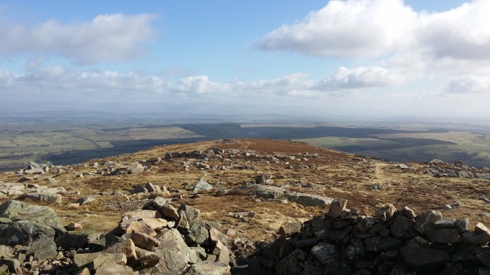 Atop Carrock Fell