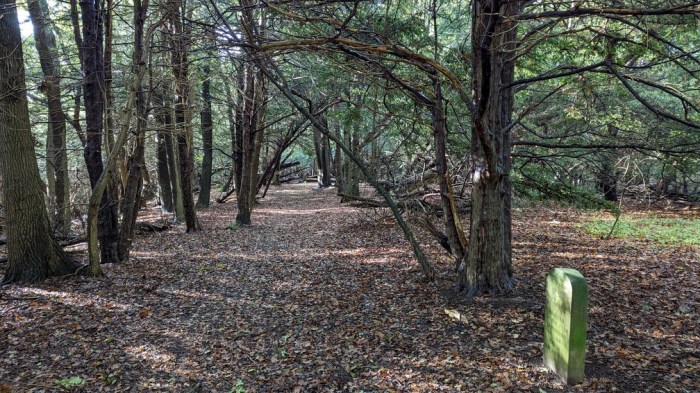 The North Downs Way AGAIN – Part 6: Detling to&nbsp;Halling